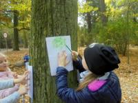 Kliknij aby zobaczyć album: Lekcja przyrody w Gołuchowie